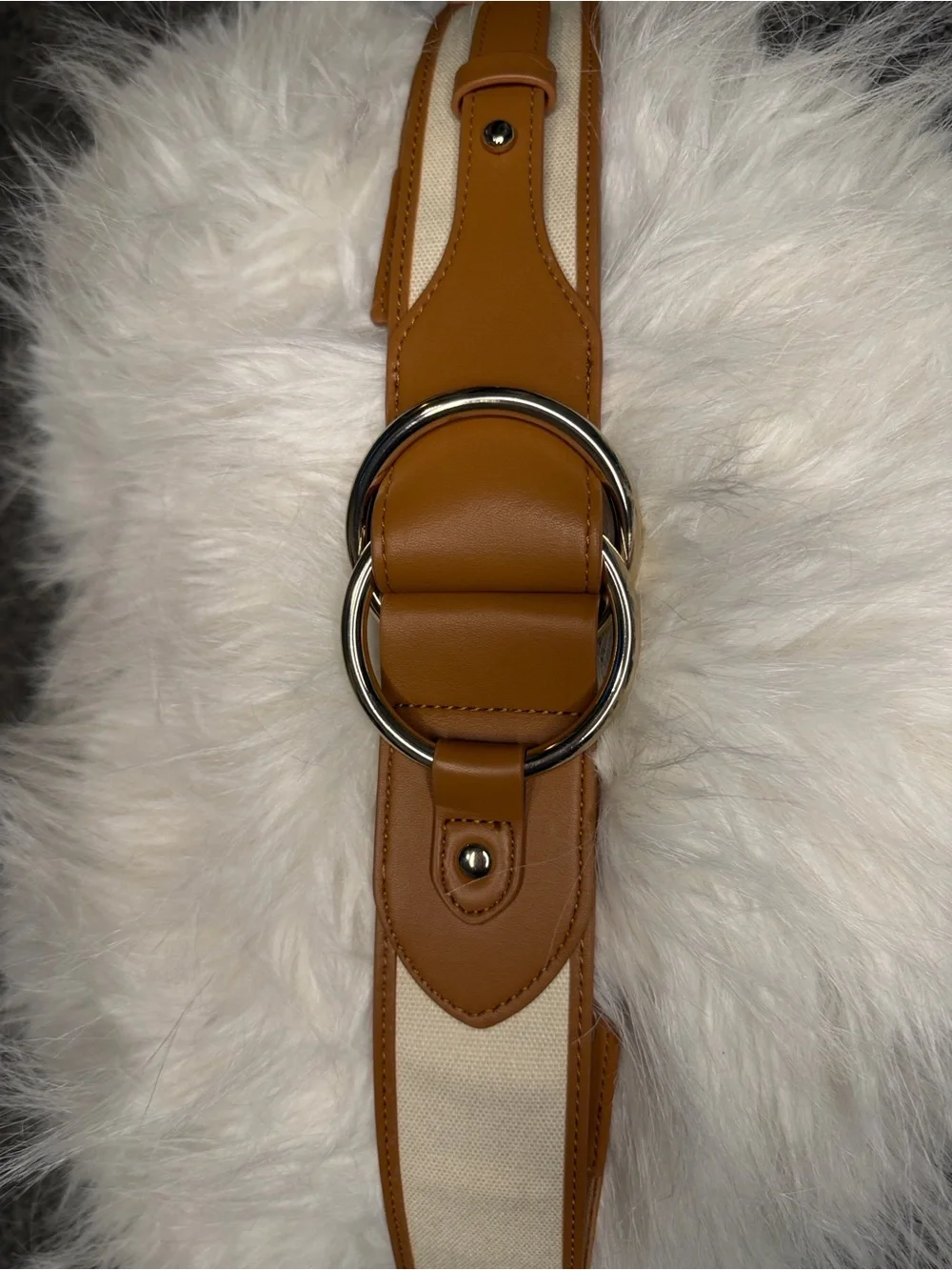 WHBM Canvas Ring Waist Belt